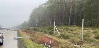 Eingeschlafen und einen Verkehrsunfall verursacht