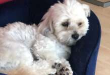 Panisch und alleine ins neue Jahr