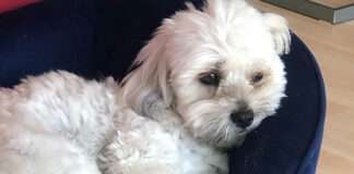 Panisch und alleine ins neue Jahr