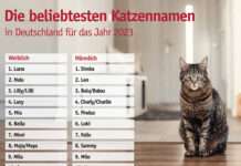 Luna, Balu und Simba wieder an der Spitze