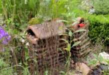 Gärten für Artenvielfalt und Klimaschutz