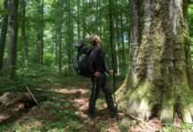 Durchs wilde Herz der Karpaten