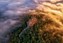 Eine mystische Reise durch den Pfälzerwald