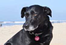 Auch am anderen Ende der Welt