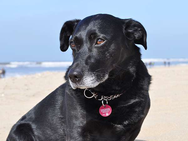 vcsPRAsset_3722489_436811_c9409405-8c0b-42cb-8053-678f4419f9ee_0