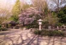 Tag des Handwerks: Handwerkskunst im Japanischen Garten