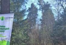 Waldbewirtschaftung in den Pflegezonen des Biosphärenreservats