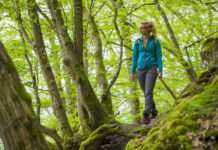 Waldbaden im Wandel der Jahreszeiten