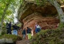 Mit Wissen und Spaß an der Natur durch Wald und Flur
