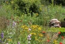 Gärten für Artenvielfalt und Klimaschutz