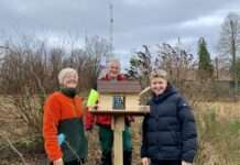 Freiwilliges Ökologisches Jahr im Herzen des Pfälzerwaldes