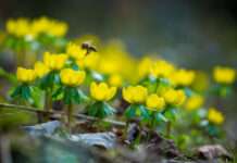 Gottesdienst am Ostermontag