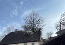 Baum stürzt in unbewohntes Gebäude