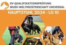 SV Bundesqualifikation zur WUSV-Weltmeisterschaft Universal für Deutsche Schäferhunde