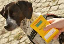 Ein kleiner Pieks für mehr Sicherheit