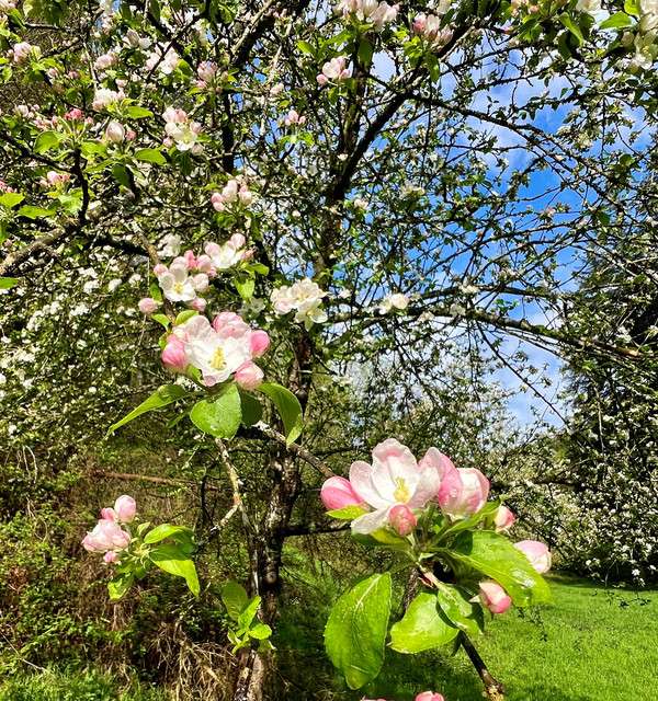 9b4e8385992eab6158bdcd2b5015f4a8@symfony