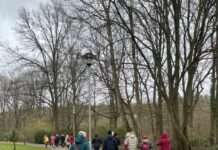 Gelungener Abschluss von „Geh‘ doch mit!“