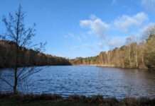 Laufen für die seelische Gesundheit