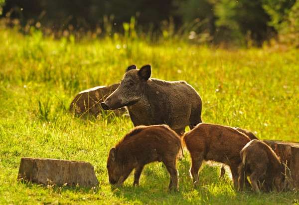 cfd560f4f2df8cb662c7ea34cb00105b@symfony