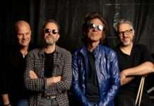 Dominic Miller, Kammgarn