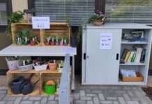 Grüne Vielfalt – Pfalzakademie beteiligt sich an Aktion „Pflanzenregal“