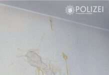 Eier durch offenes Fenster geworfen – Zeugen gesucht!