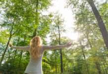 Walddüfte für Körper und Seele