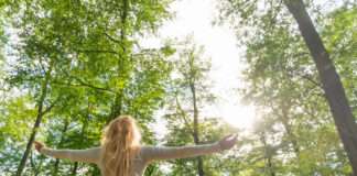 Walddüfte für Körper und Seele