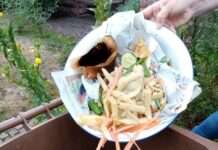 Tag der Umwelt: Mülltrennung ist aktiver Umweltschutz