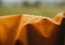 PFAS – was geht mich das an? Vortrag zu Thema „Ewigkeitschemikalien“ am 20 Juni an der RPTU