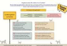 Freilaufendes Haustier gefunden – was ist zu tun?