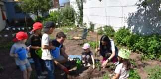 Kinder pflanzen und ernten auch in diesem Jahr wieder selbst