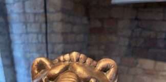 Arbeitsstelle „Geschichte der Juden in der Pfalz“ wird umbenannt