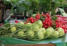 Wie schmeckt die Zukunft? Ein Abend zur nachhaltigen Ernährung und Landwirtschaft