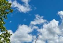 Rückenwind für die Energiewende