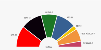 Wahlergebnis zum Stadtrat 2024
