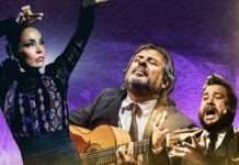 Antonio Andrade Trio, Kammgarn