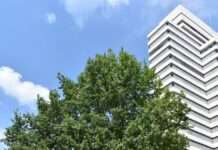 Frischer Wind für die Stadtverwaltung