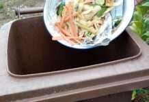 Tipps gegen Gerüche und Maden in der Biotonne