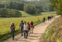 Moosurwelten, Mistkäferathleten und Wildkräuter – Biosphären-Guide-Touren im Juli und August