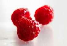 Vortrag „Rote Früchte: Was sie so besonders macht?“ am 11. Juli an der RPTU