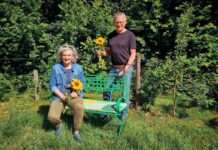 Die Grünen Erzhütten-Wiesenthalerhof etablieren GRÜNE BANK