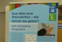 Von den Stimmen der Natur