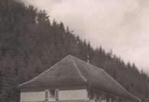 Dornig wie die Alpenrose – Ausstellungseröffnung beim Hoffest in der Pfalzbibliothek