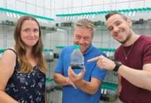 Neue Einblicke in die faszinierende Welt der Flechten