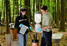 Klimawandel und Waldökosysteme: Expertenvortrag und Exkursion