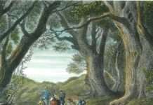 Deutsche Auswanderer nach Amerika