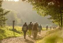 Kulturbiotop Streuobstwiese und Pfälzer (Ur-)wald?