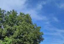 Mobile Basketballkörbe eingeweiht – Stadt erfüllt Wunsch von Kindern und Jugendlichen