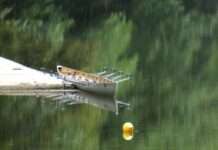 „Durch die Augen des Betrachters“ – Vernissage der Fotographien von Denise Schleyer